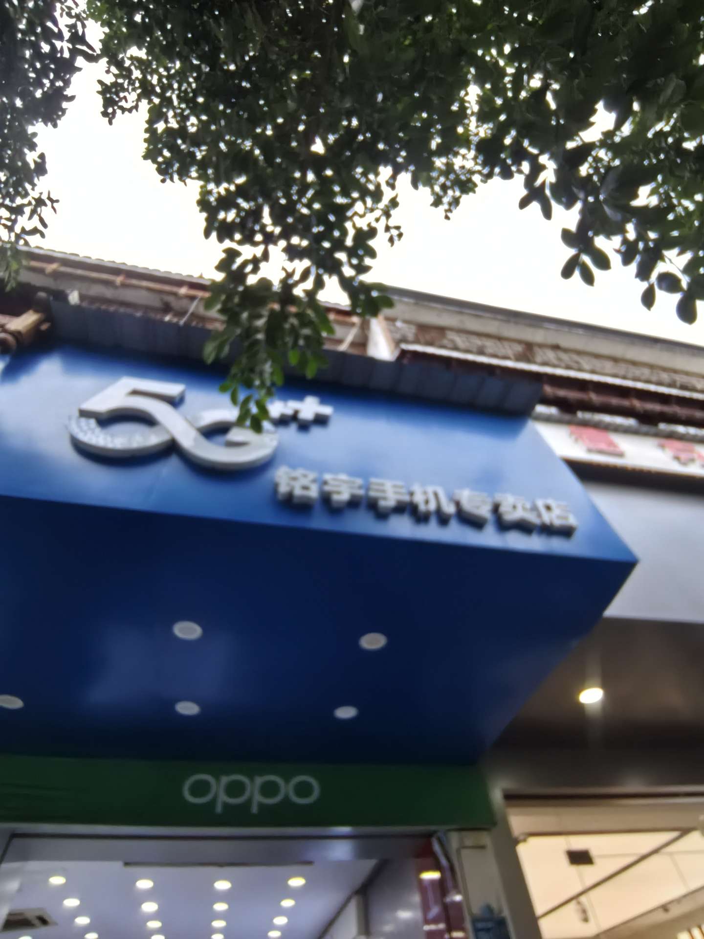 融水分类信息