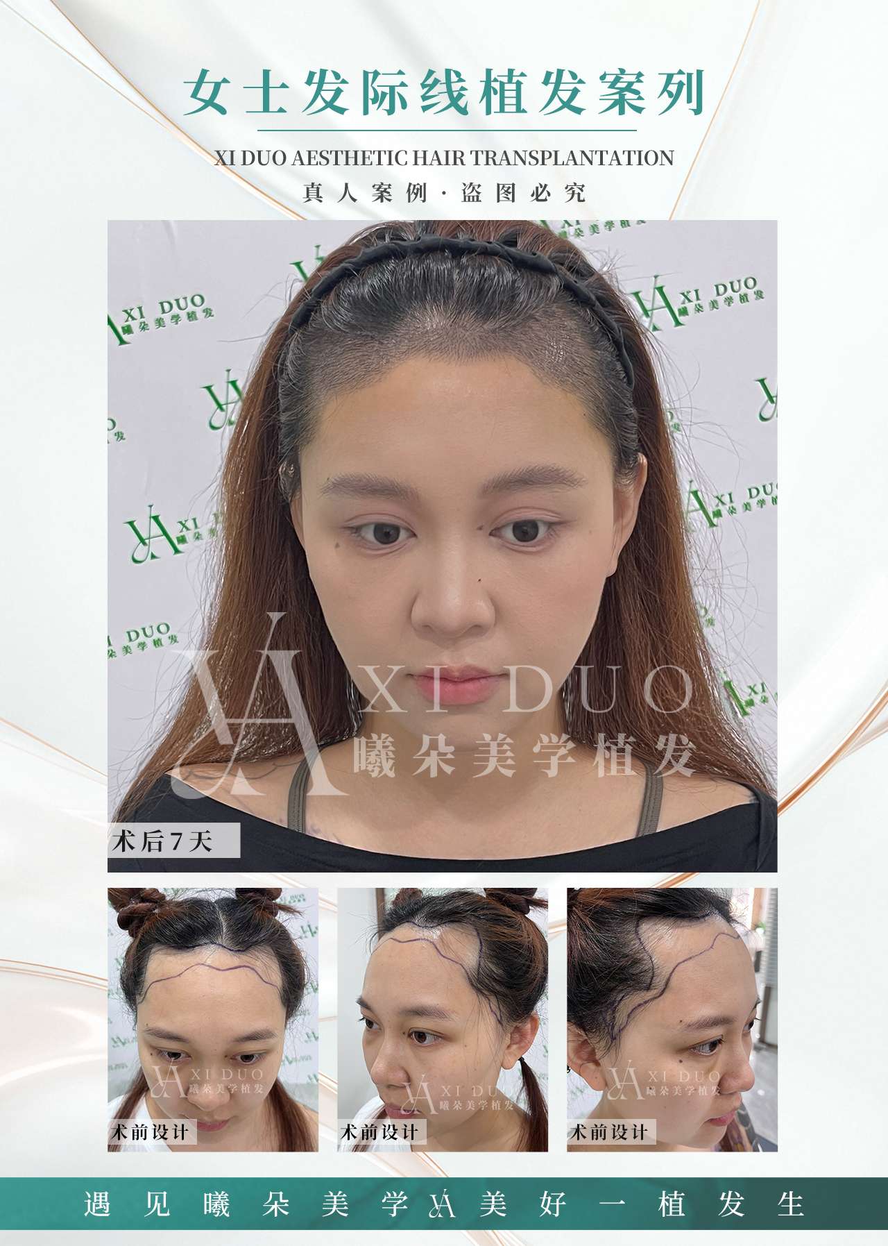 融水分类信息