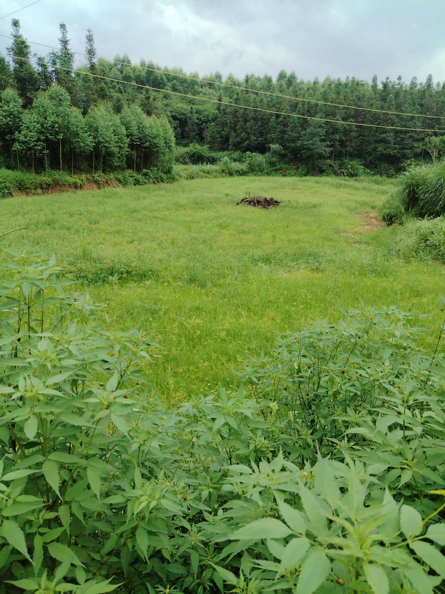融水分类信息