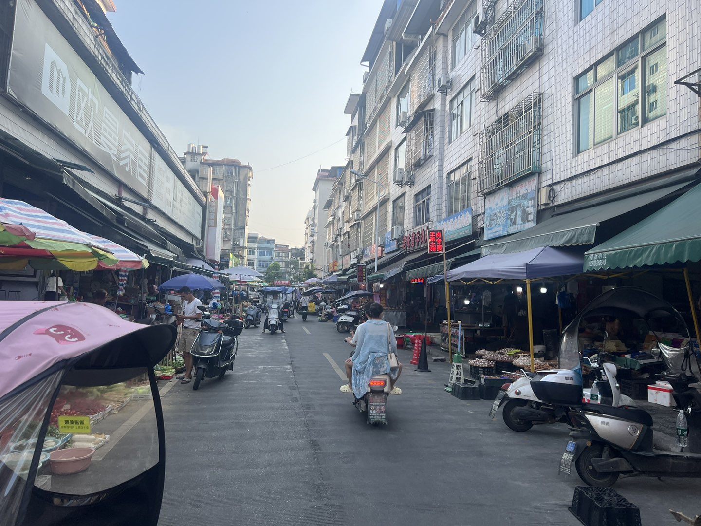 融水分类信息