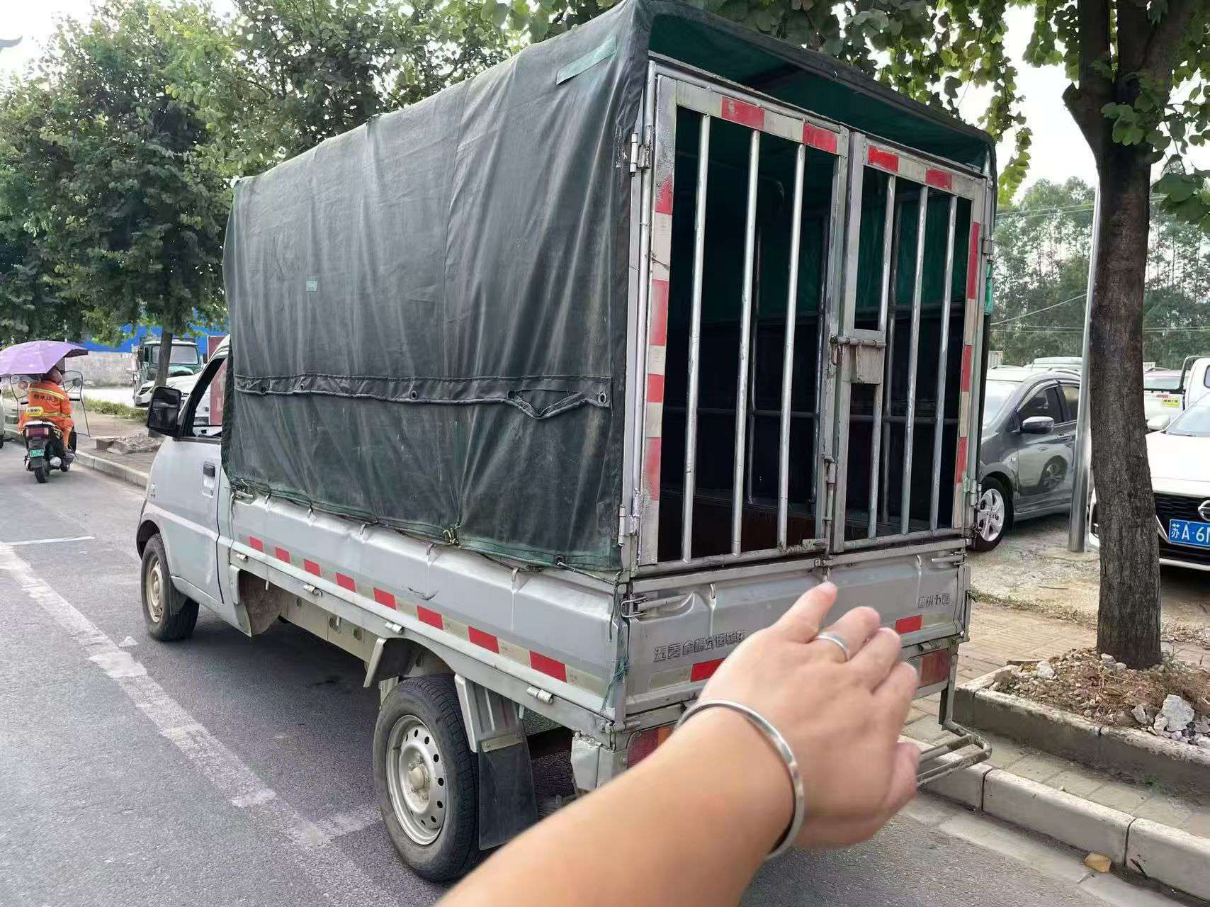 融水分类信息