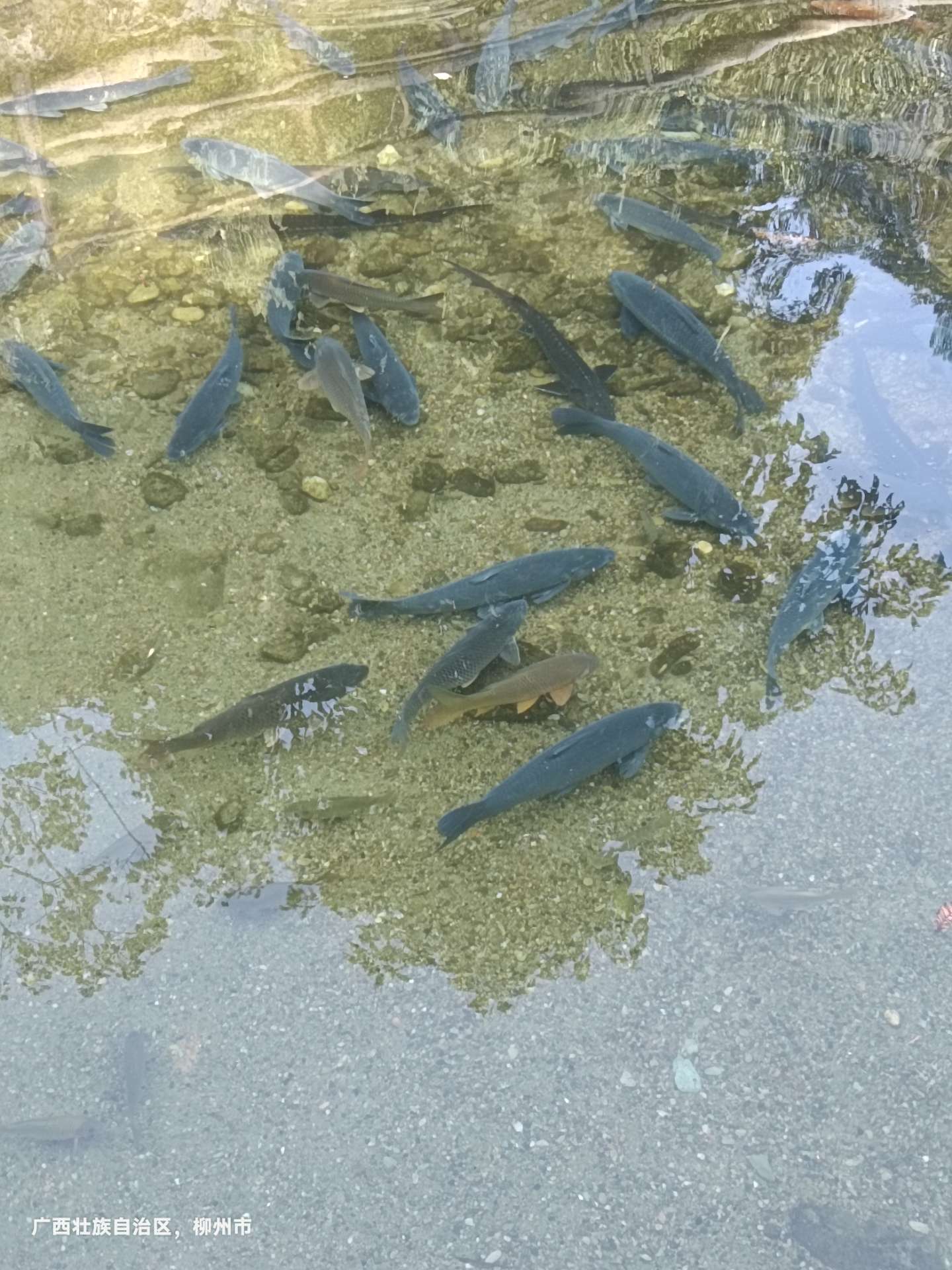 融水分类信息