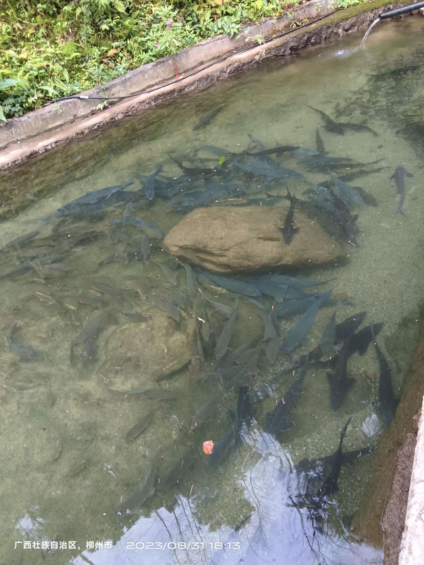 融水分类信息