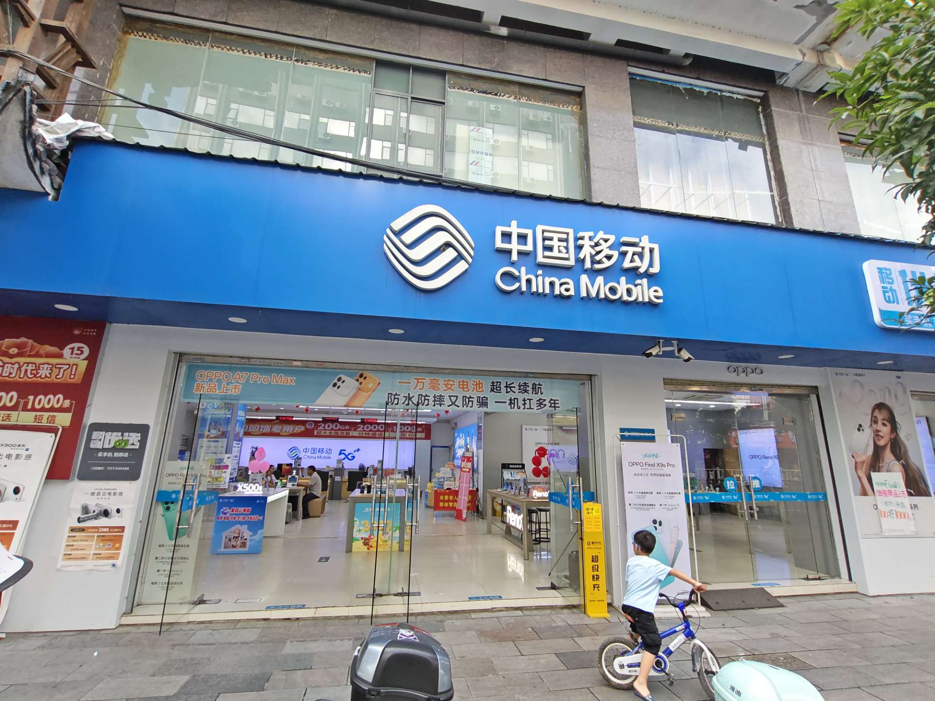 融水分类信息