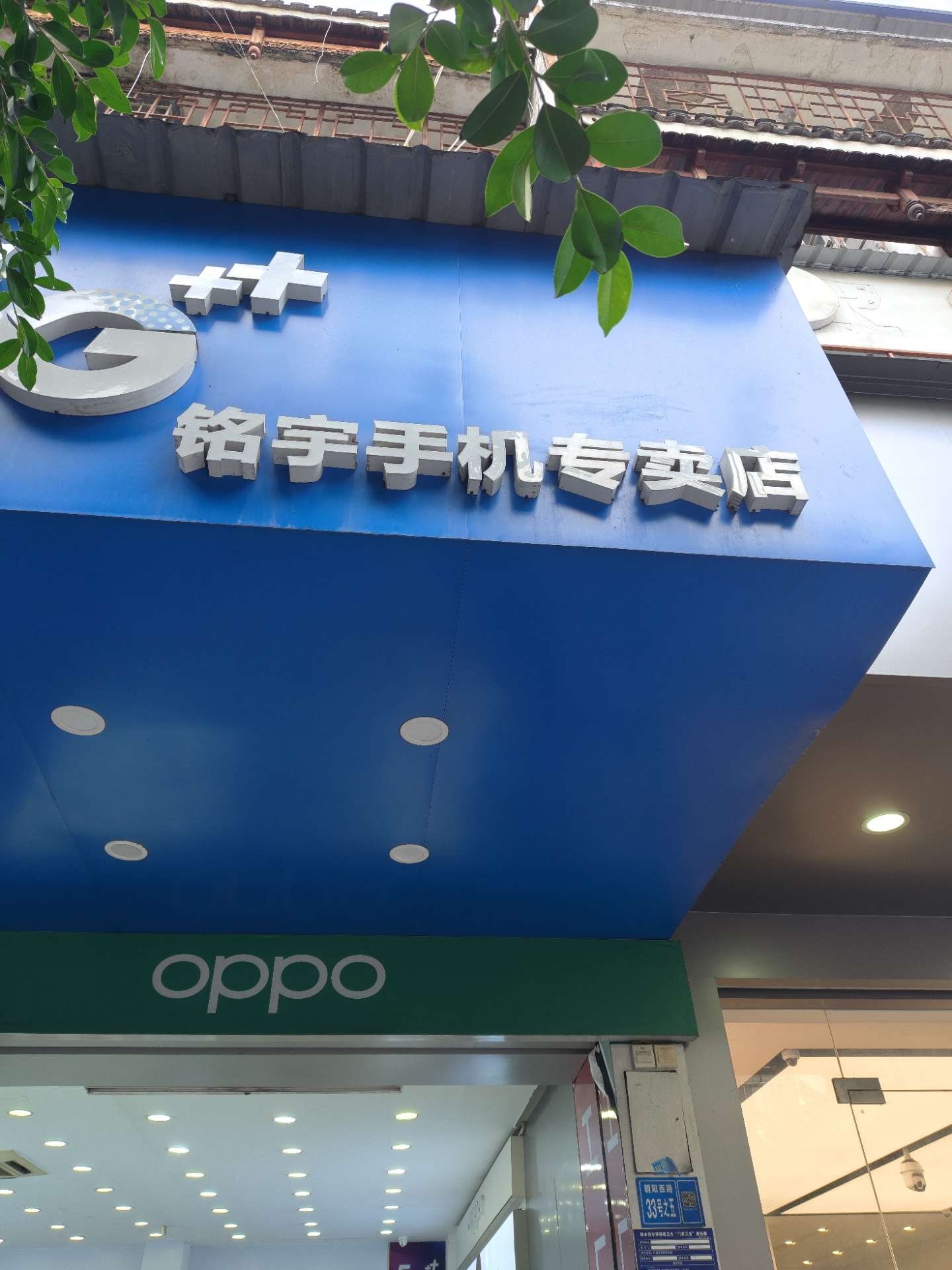 融水分类信息
