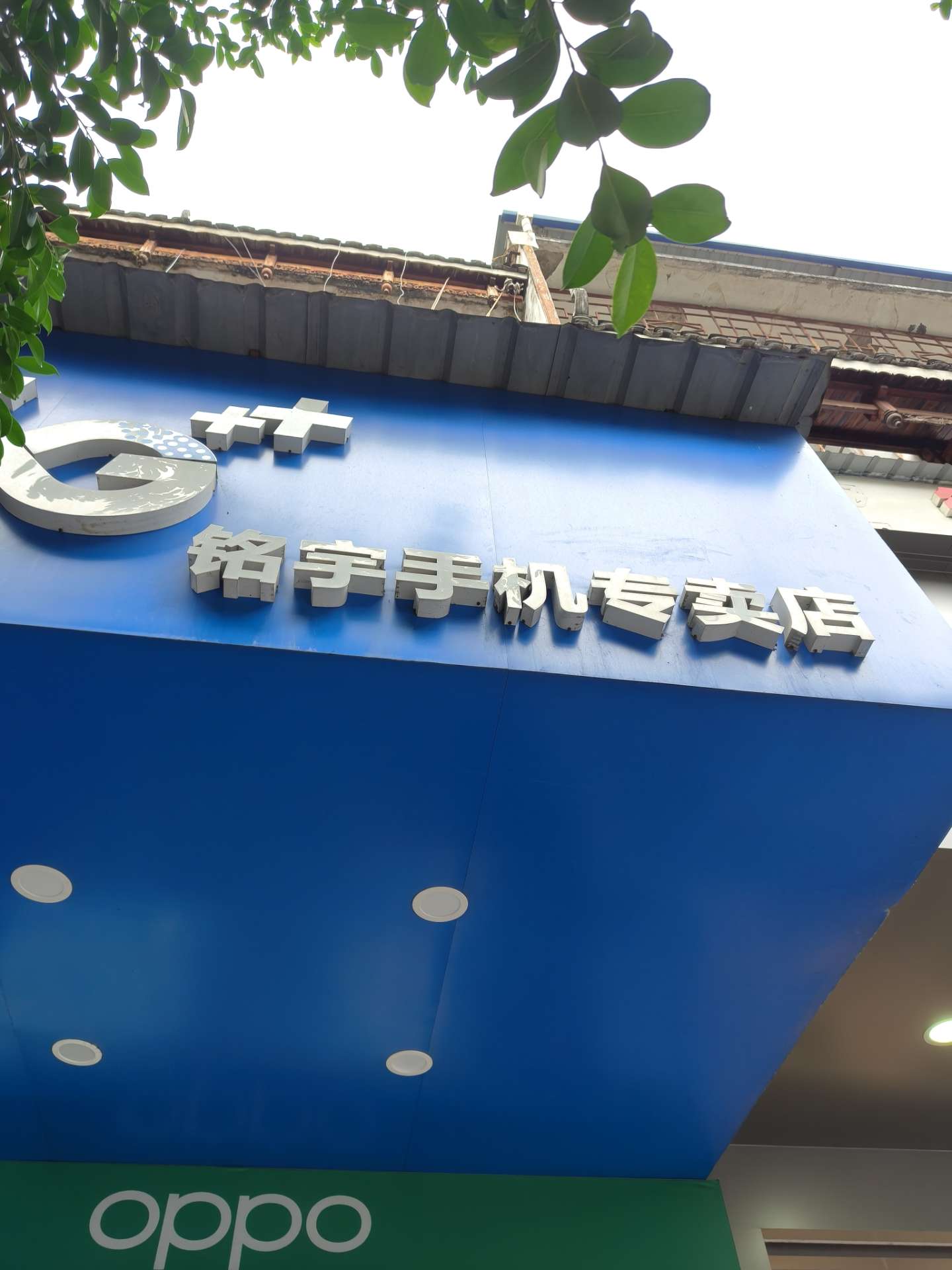 融水分类信息