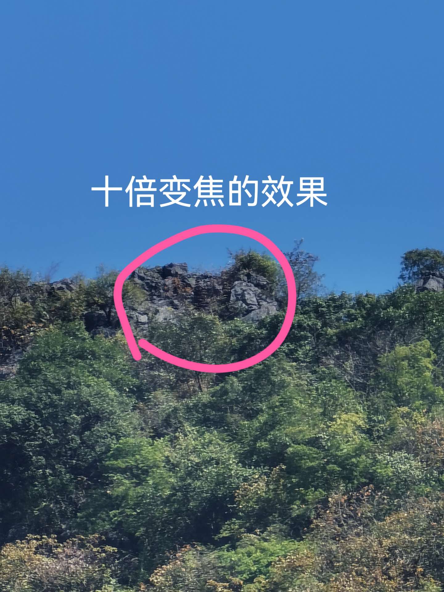 融水分类信息