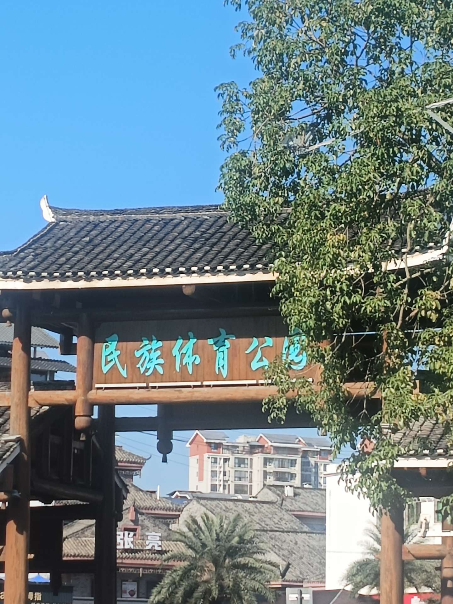 融水分类信息