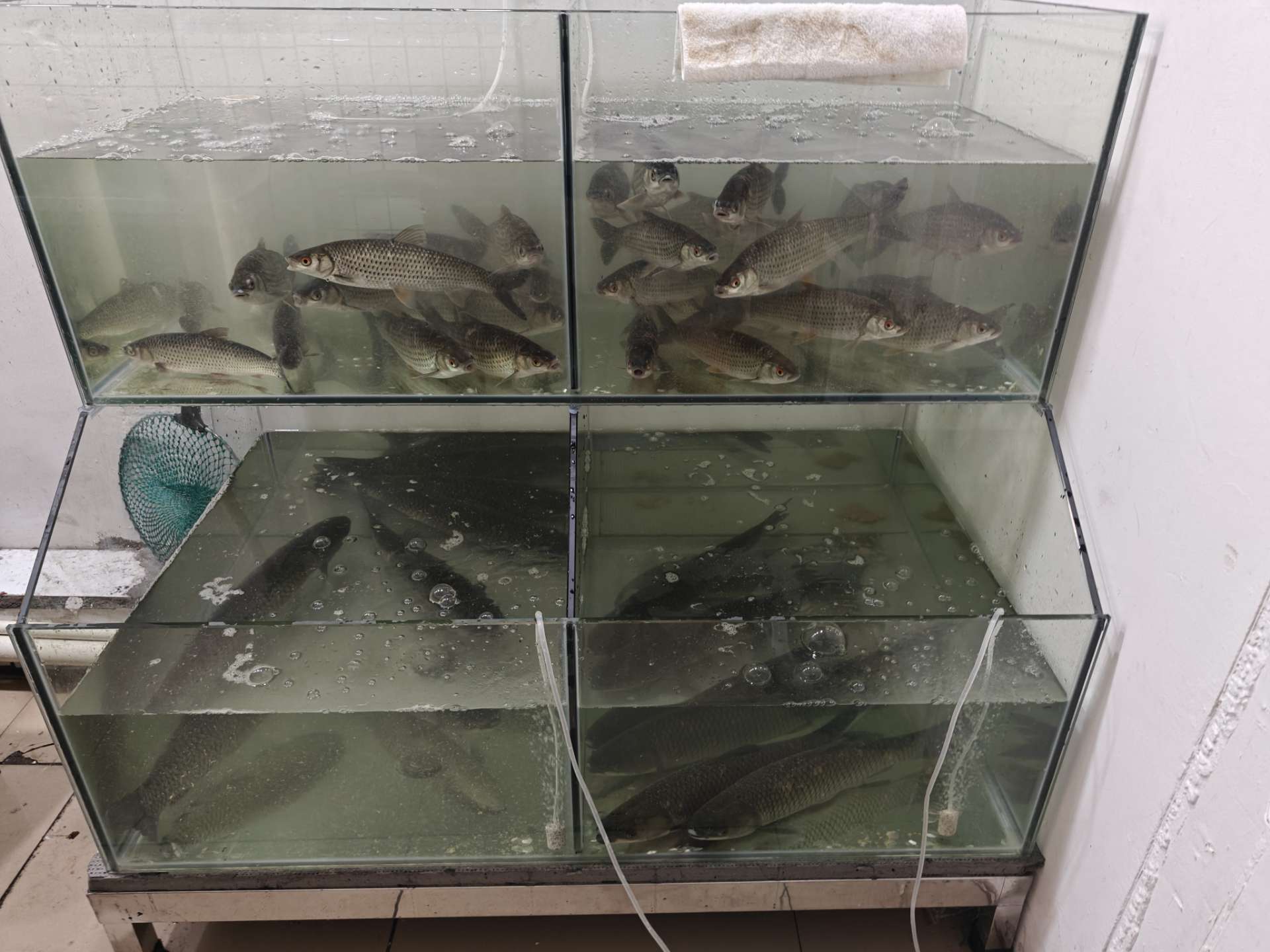 融水分类信息