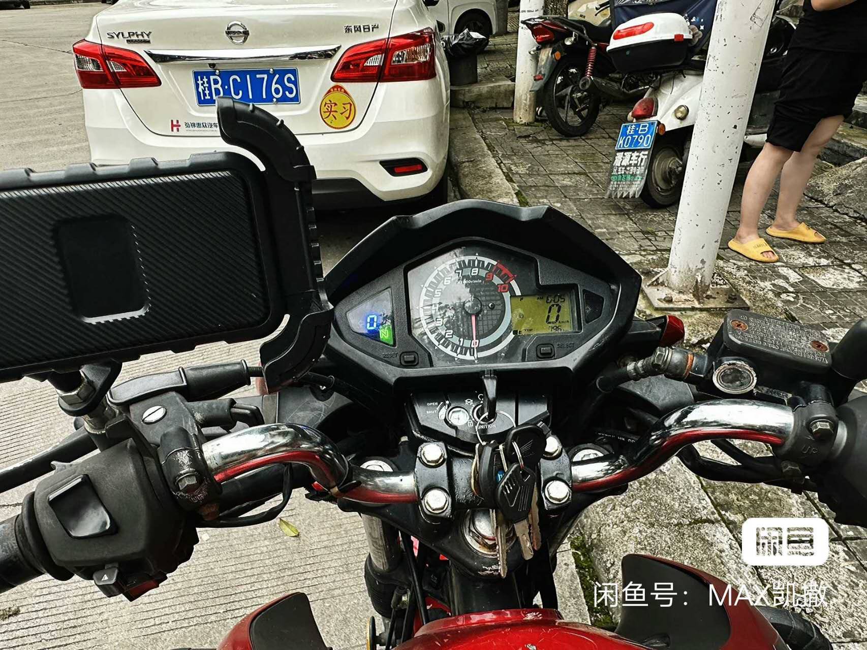 融水分类信息