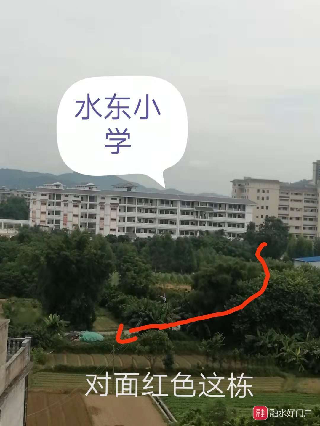 融水分类信息