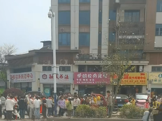 融水分类信息